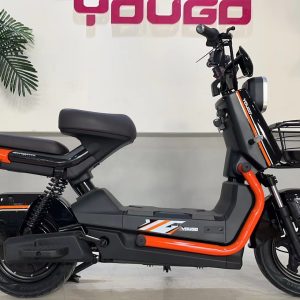 Bike & Electric Bike