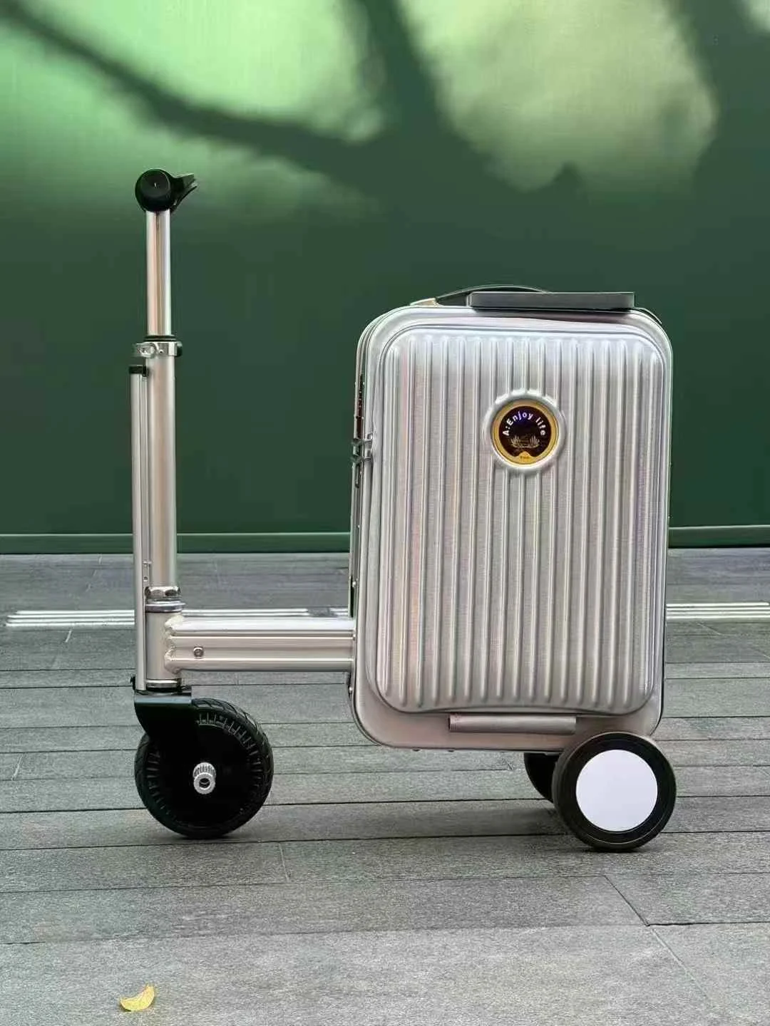 Kids 2 in 1 Scooter Luggage, Lightweight Carry - on Suitcase with Extendable Scooter for Travel