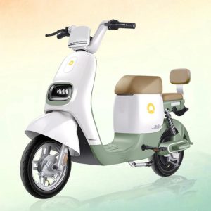 Electric Vehicle ZH400